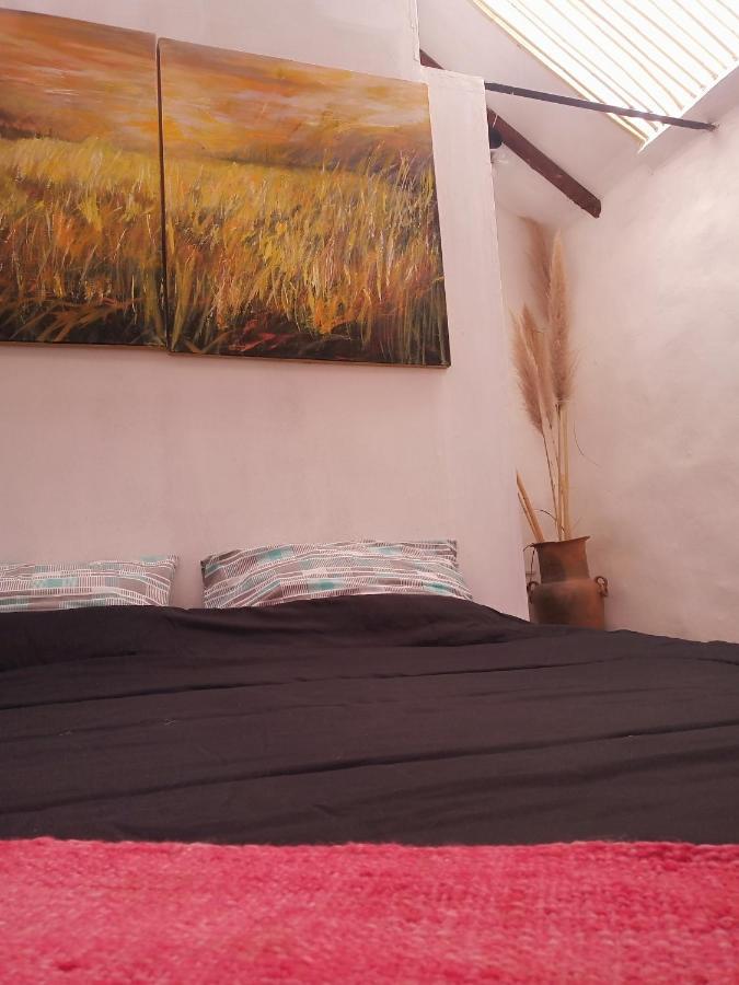 Chalet Con Llamas *