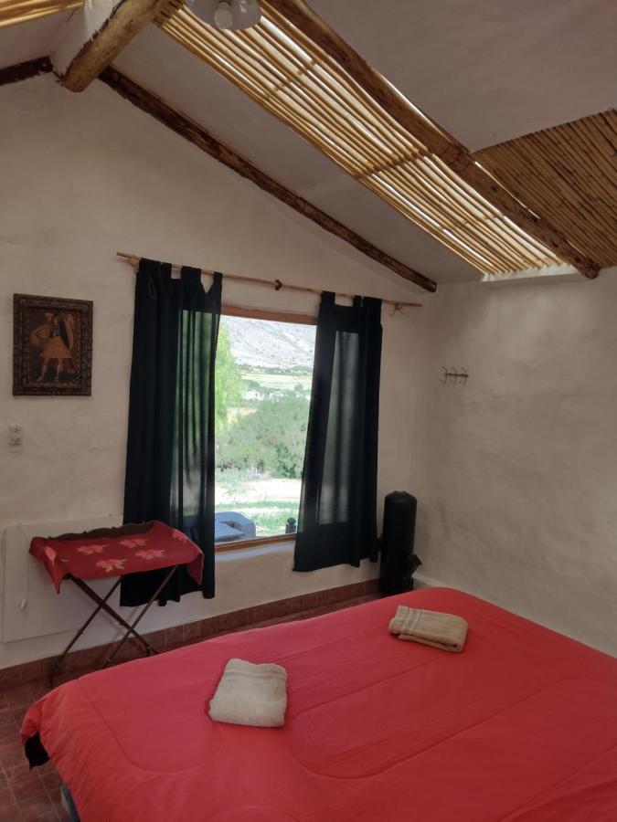 Chalet Con Llamas