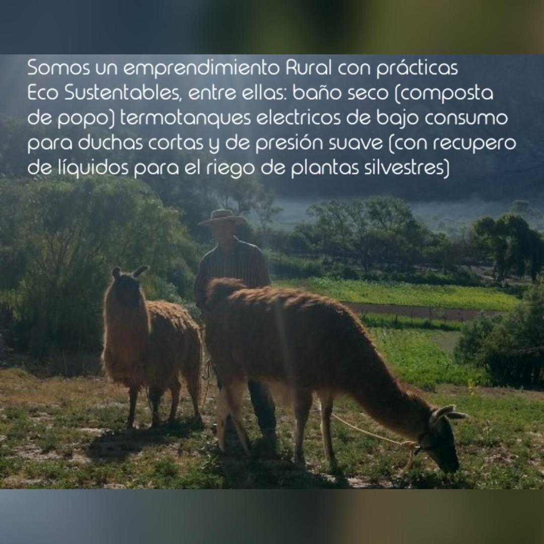 Con Llamas